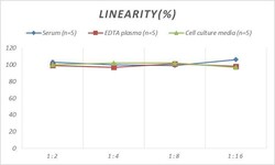 Novus Biologicals&trade;&nbsp;Monkey Cathepsin B ELISA Kit (Colorimetric)