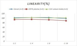 Novus Biologicals&trade;&nbsp;Porcine Gastrin ELISA Kit (Colorimetric)
