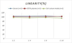 Novus Biologicals&trade;&nbsp;Porcine BMP-9 ELISA Kit (Colorimetric)