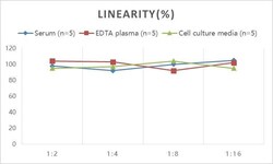 Novus Biologicals&trade;&nbsp;Human IgA2 ELISA Kit (Colorimetric)