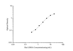Novus Biologicals&trade;&nbsp;Rat Lactate Dehydrogenase A/LDHA ELISA Kit (Colorimetric)