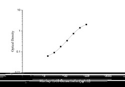 Novus Biologicals&trade;&nbsp;Monkey IL-13 ELISA Kit (Colorimetric)