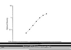 Novus Biologicals&trade;&nbsp;Rabbit PTH ELISA Kit (Colorimetric)