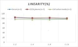 Novus Biologicals&trade;&nbsp;Monkey CCL2/JE/MCP-1 ELISA Kit (Colorimetric)