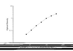 Novus Biologicals&trade;&nbsp;Monkey CCL8/MCP-2 ELISA Kit (Colorimetric)