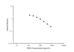 Novus Biologicals&trade;&nbsp;Met-enkephalin ELISA Kit (Colorimetric)