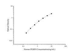 Novus Biologicals&trade;&nbsp;Human PEBP4 ELISA Kit (Colorimetric)