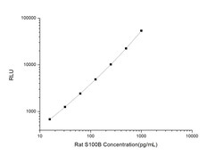 Novus Biologicals Rat S100B ELISA Kit (Chemiluminescence) 1 Kit | Buy Online | Novus Biologicals&trade; | Fisher Scientific