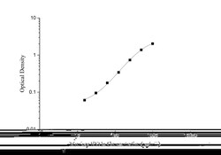 Novus Biologicals&trade;&nbsp;Monkey alpha-Synuclein ELISA Kit (Colorimetric)