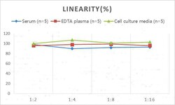 Novus Biologicals&trade;&nbsp;Rat SOD1/Cu-Zn SOD ELISA Kit (Colorimetric)