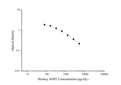 Novus Biologicals&trade;&nbsp;Monkey SOD1/Cu-Zn SOD ELISA Kit (Colorimetric)