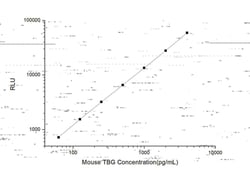 Novus Biologicals&trade;&nbsp;Mouse Serpin A7/TBG ELISA Kit (Chemiluminescence)