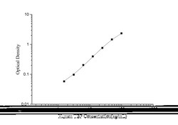 Novus Biologicals&trade;&nbsp;Human TATA binding protein TBP ELISA Kit (Colorimetric)