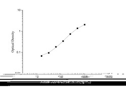 Novus Biologicals&trade;&nbsp;Mouse TGF-alpha ELISA Kit (Colorimetric)