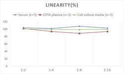 Novus Biologicals&trade;&nbsp;Rat TIMP-2 ELISA Kit (Colorimetric)