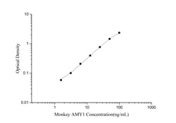 Novus Biologicals&trade;&nbsp;Monkey Salivary Amylase Alpha ELISA Kit (Colorimetric)