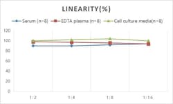 Novus Biologicals&trade;&nbsp;Rat Angiotensin II ELISA Kit (Colorimetric)