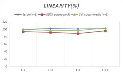 Novus Biologicals&trade;&nbsp;Rabbit Angiopoietin-like Protein 3/ANGPTL3 ELISA Kit (Colorimetric)
