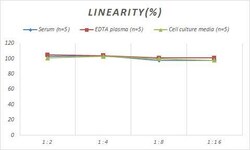 Novus Biologicals&trade;&nbsp;Monkey Angiopoietin-like Protein 4/ANGPTL4 ELISA Kit (Colorimetric)
