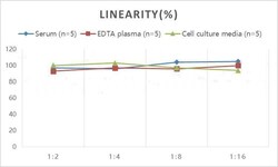 Novus Biologicals&trade;&nbsp;Rat Abeta 40 ELISA Kit (Colorimetric)