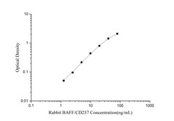 Novus Biologicals&trade;&nbsp;Rabbit BAFF/BLyS/TNFSF13B ELISA Kit (Colorimetric)