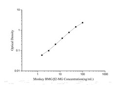 Novus Biologicals&trade;&nbsp;Monkey beta 2-Microglobulin ELISA Kit (Colorimetric)