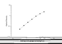 Novus Biologicals&trade;&nbsp;Monkey Complement C3b ELISA Kit (Colorimetric)