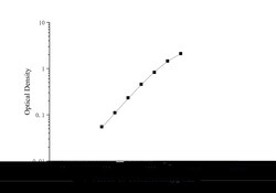 Novus Biologicals&trade;&nbsp;Porcine Complement C5 ELISA Kit (Colorimetric)