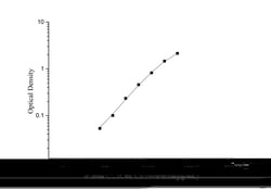 Novus Biologicals&trade;&nbsp;Human CLEC4E ELISA Kit (Colorimetric)