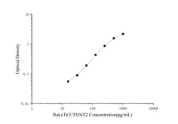 Novus Biologicals&trade;&nbsp;Rat Cardiac Troponin T ELISA Kit (Colorimetric)