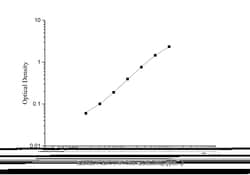 Novus Biologicals&trade;&nbsp;Rabbit CXCL16 ELISA Kit (Colorimetric)