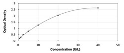 R&D Systems&trade;&nbsp;Human GLUD1/GLUD2 ELISA Kit (Colorimetric)