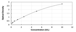 R&D Systems&trade;&nbsp;Mouse GLUD1/GLUD2 ELISA Kit (Colorimetric)