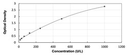 R&D Systems&trade;&nbsp;Rabbit Creatine Kinase, Muscle/CKMM ELISA Kit (Colorimetric)