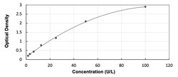 R&D Systems&trade;&nbsp;Rat Carboxypeptidase A1/CPA1 - Ready-To-Use ELISA Kit (Colorimetric)
