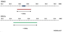 Abnova PPM1D/CEN17qFISH Probe PPM1D/CEN17qFISH Probe:Custom Products and