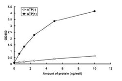 Abnova&trade;&nbsp;RAF1 (Y340D/Y341D) (Human) Recombinant Protein