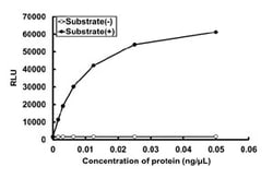 Abnova&trade;&nbsp;PIP4K2A (Human) Recombinant Protein