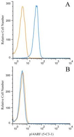 p19ARF/CDKN2A Antibody (5-C3-1) - BSA Free, Novus Biologicals:Antibodies:Primary