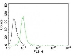 p27/Kip1 Antibody (KIP1/769), Novus Biologicals 0.2mg; Unlabeled:Antibodies,