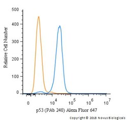 p53 Antibody (PAb 240) - BSA Free, Novus Biologicals:Antibodies:Primary