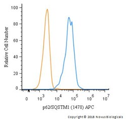 p62/SQSTM1 Antibody (1478), Novus Biologicals 0.1mL; Unlabeled:Antibodies,