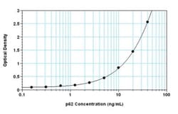 Novus Biologicals&trade;&nbsp;Human, Mouse, Rat p62/SQSTM1 ELISA Kit (Colorimetric)