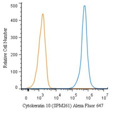 Mouse anti-pan Cytokeratin, Clone: C11, Azide Free, Novus Biologicals 0.2mg;