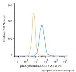 Mouse anti-pan Cytokeratin, Clone: AE1 + AE3, Azide Free, Novus Biologicals