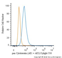 Mouse anti-pan Cytokeratin, Clone: AE1 + AE3, Azide Free, Novus Biologicals