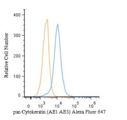 Mouse anti-pan Cytokeratin, Clone: AE1 + AE3, Azide Free, Novus Biologicals