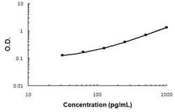 Abnova Bmp7 (Rat) ELISA Kit 1 Kit | Buy Online | Abnova&trade; | Fisher Scientific