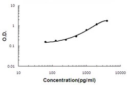 Abnova IGF2 (Monkey) ELISA Kit 1 Kit | Buy Online | Abnova&trade; | Fisher Scientific
