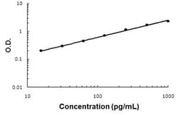 Abnova TGFA (Pig) ELISA Kit 1 Kit | Buy Online | Abnova&trade; | Fisher Scientific